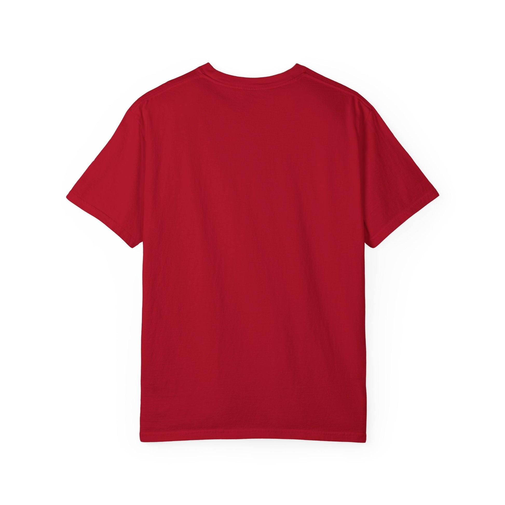 Aquemini - Comic Book Art - Unisex Comfort Colors T-shirt Fine Art Of MK