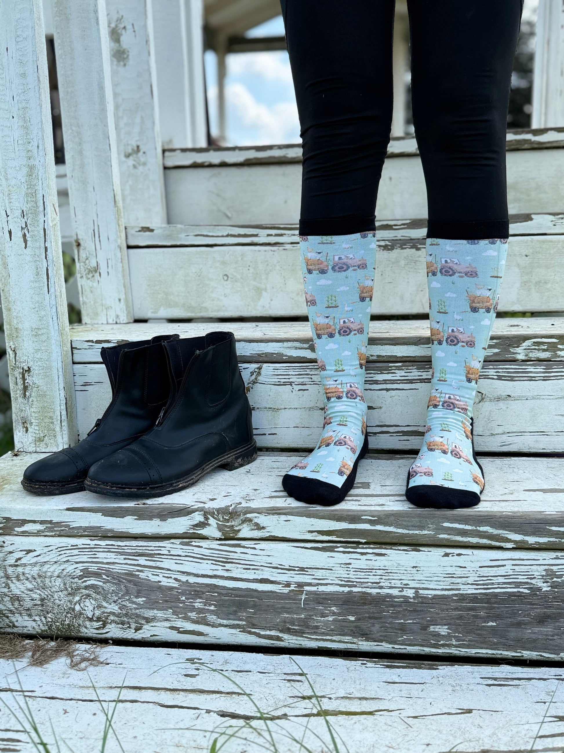Hayfield Friends - Petite Red Barn Socks